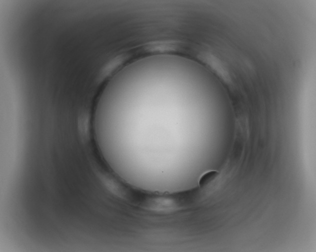 X0000114410159200910231139