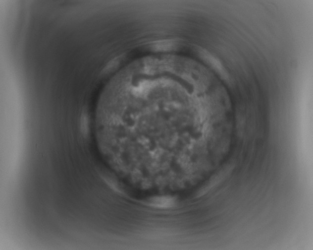 X0000114410161200910231139