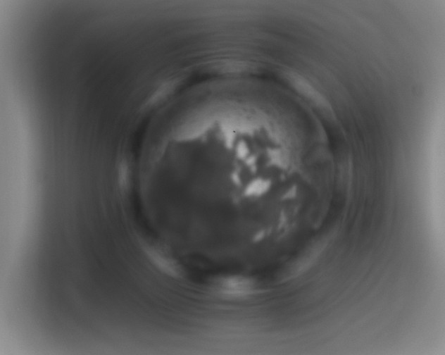 X0000114410165200910231139