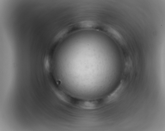 X0000114410166200910231139