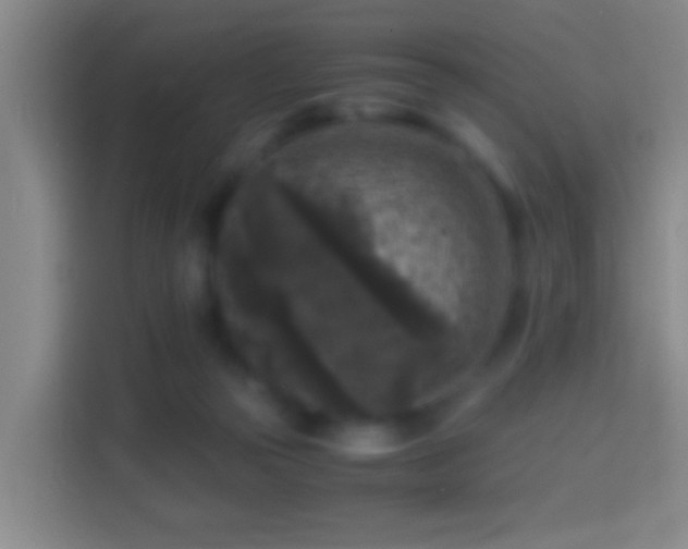 X0000114410169200910231139