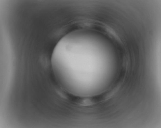 X0000114410173200910231139