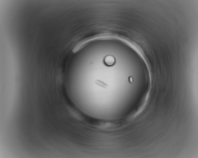 X0000114410174200910231139