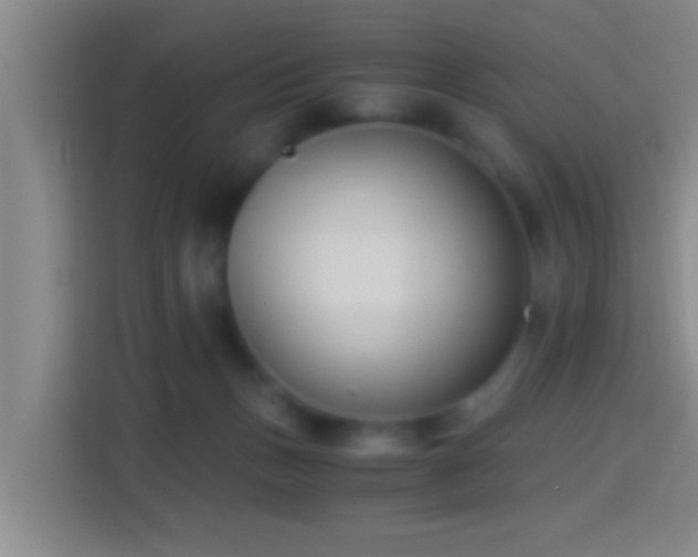 X0000114410175200910231139