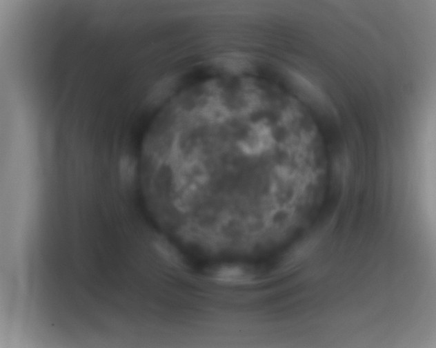 X0000114410177200910231139