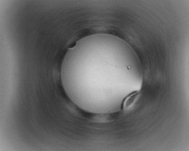 X0000114410179200910231139