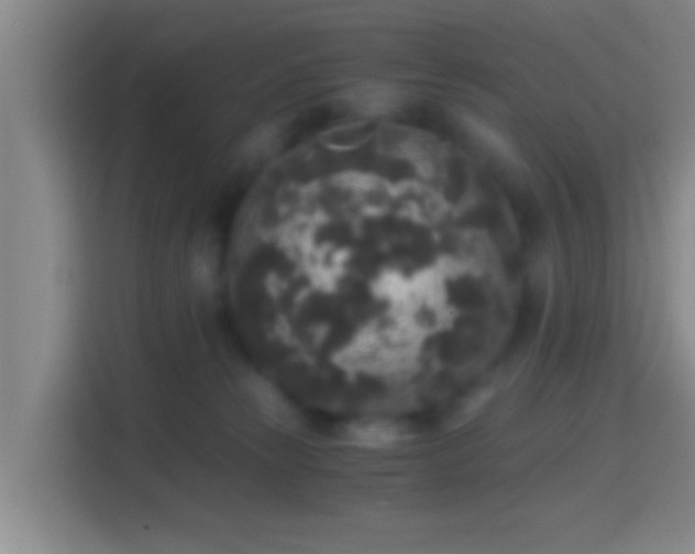 X0000114410181200910231139