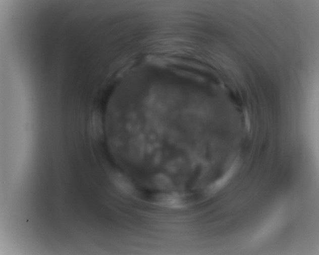 X0000114410182200910231139