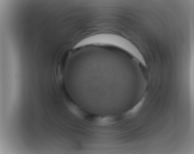 X0000114410186200910231139
