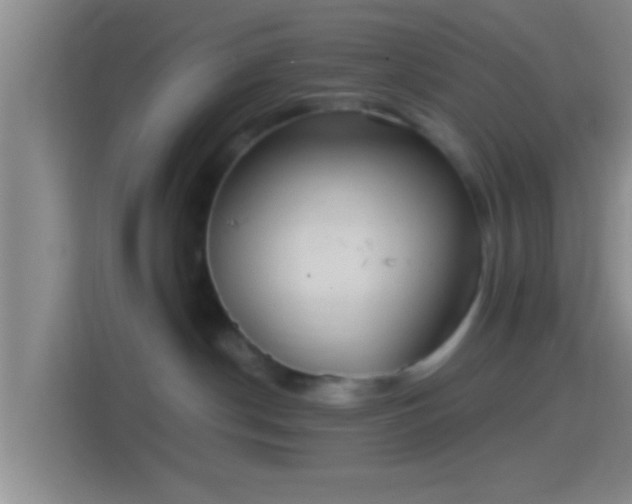 X0000114410190200910231139