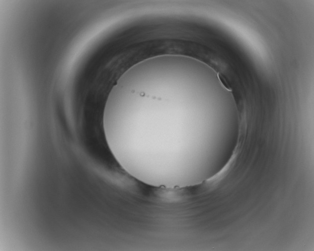 X0000114410191200910231139