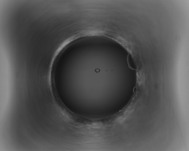 X0000114410196200910231139
