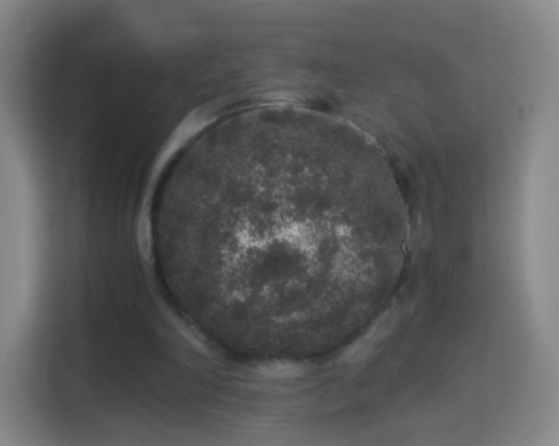 X0000114410198200910231139