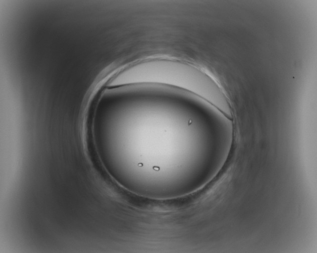 X0000114410199200910231139