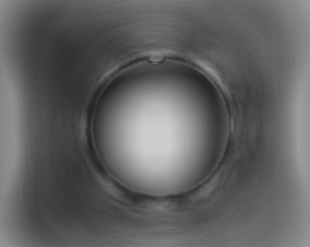X0000114410201200910231139