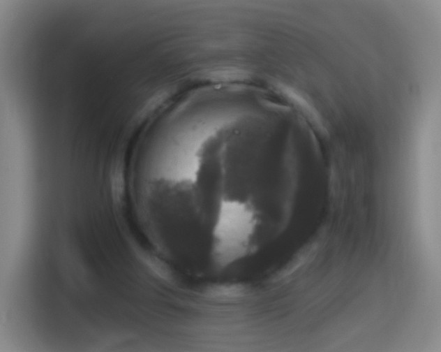 X0000114410202200910231139