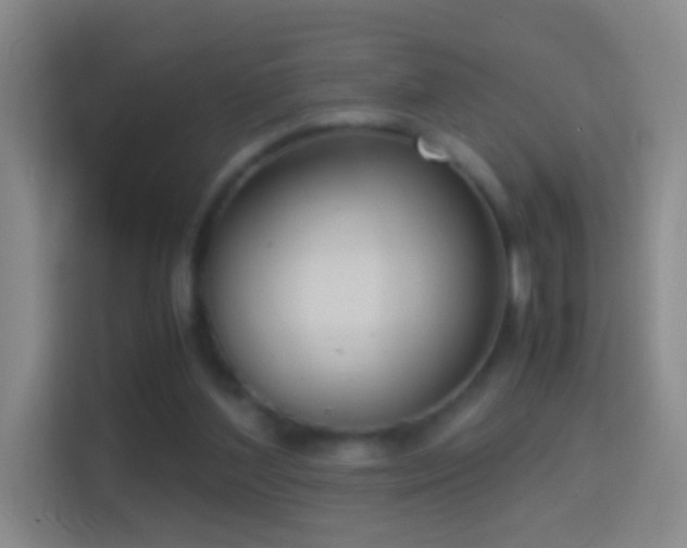X0000114410204200910231139