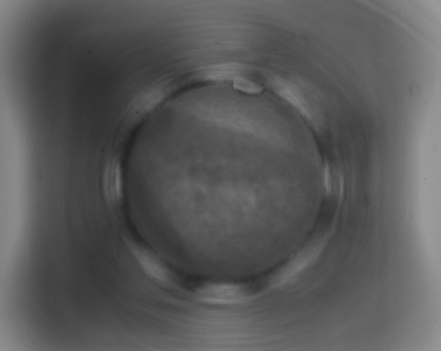 X0000114410205200910231139