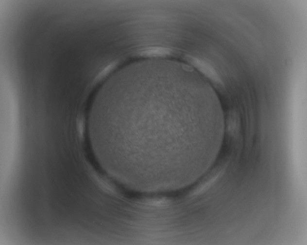 X0000114410206200910231139