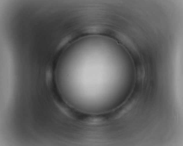 X0000114410208200910231139