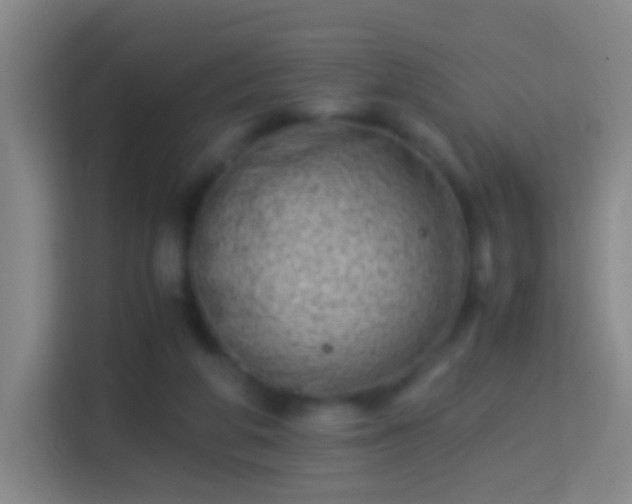 X0000114410210200910231139