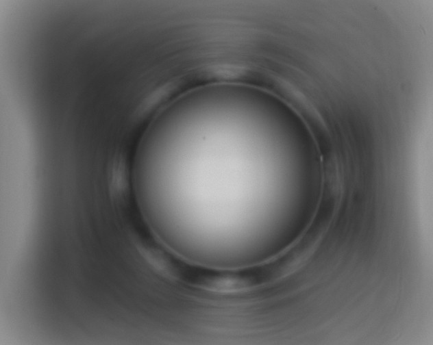 X0000114410212200910231139