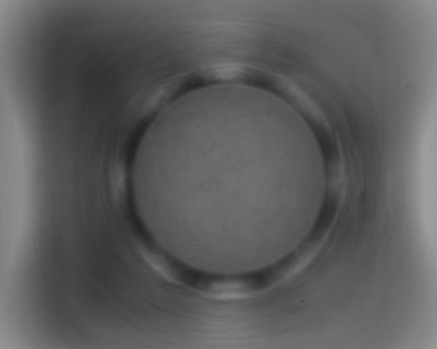 X0000114410213200910231139