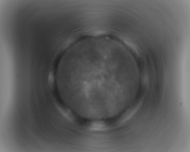 X0000114410214200910231139
