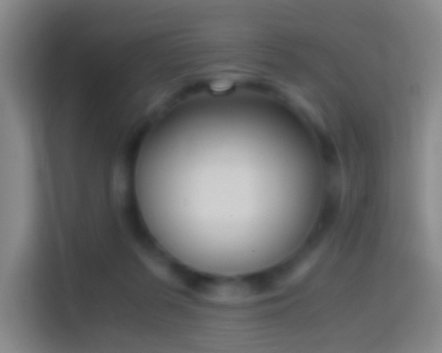 X0000114410215200910231139