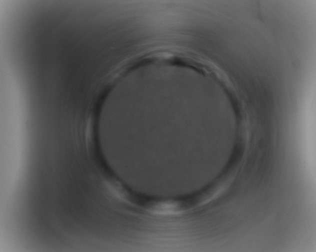 X0000114410217200910231139