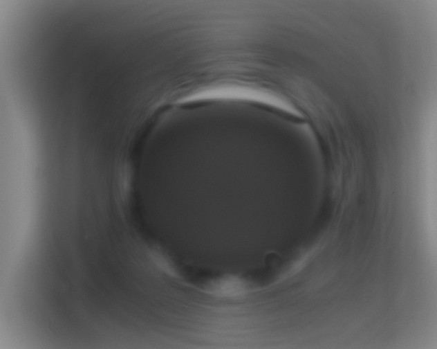 X0000114410219200910231139