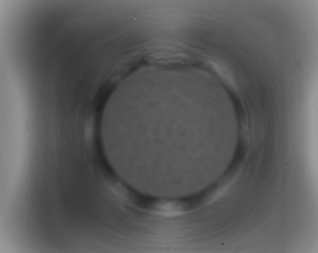 X0000114410221200910231138