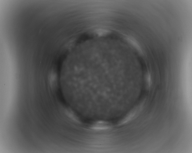 X0000114410222200910231138