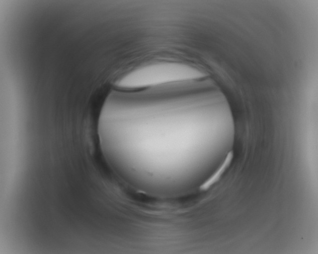 X0000114410223200910231138