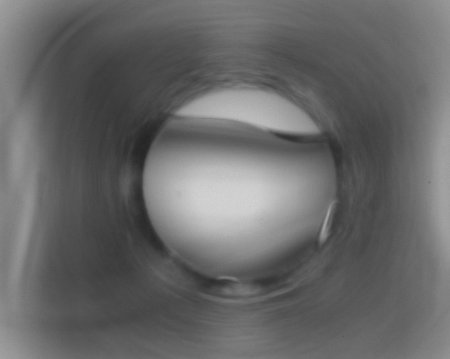 X0000114410225200910231138