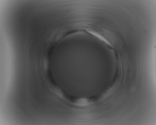 X0000114410227200910231138
