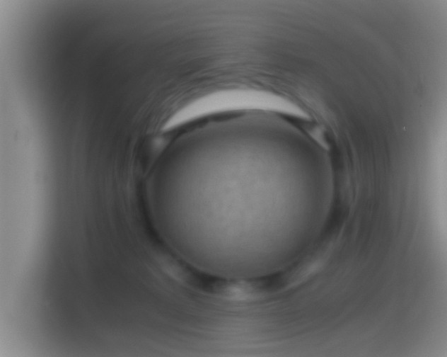 X0000114410229200910231138