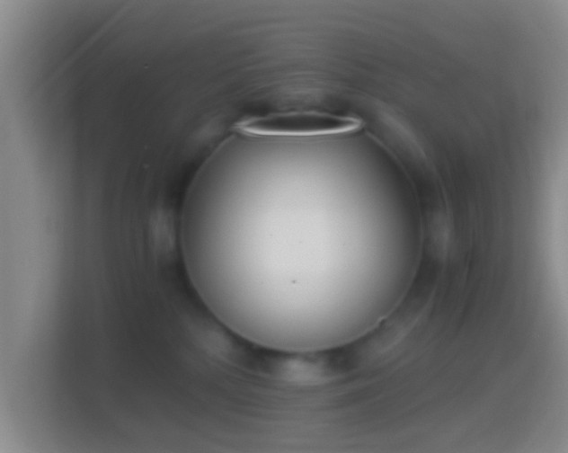 X0000114410232200910231138