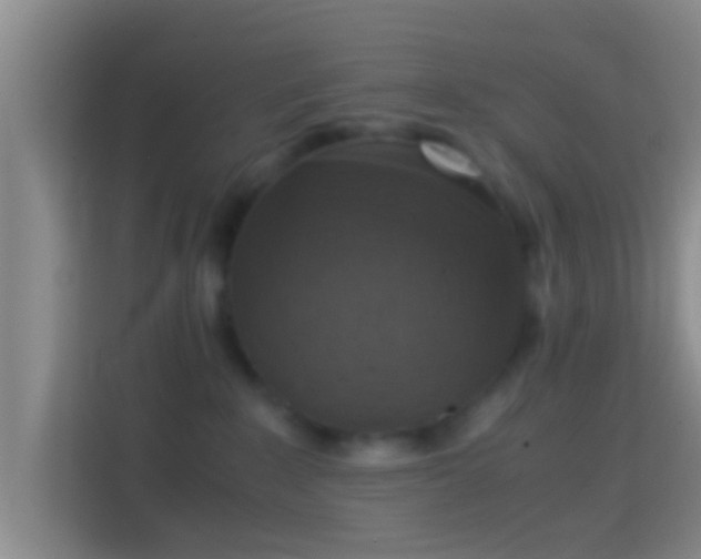 X0000114410235200910231138