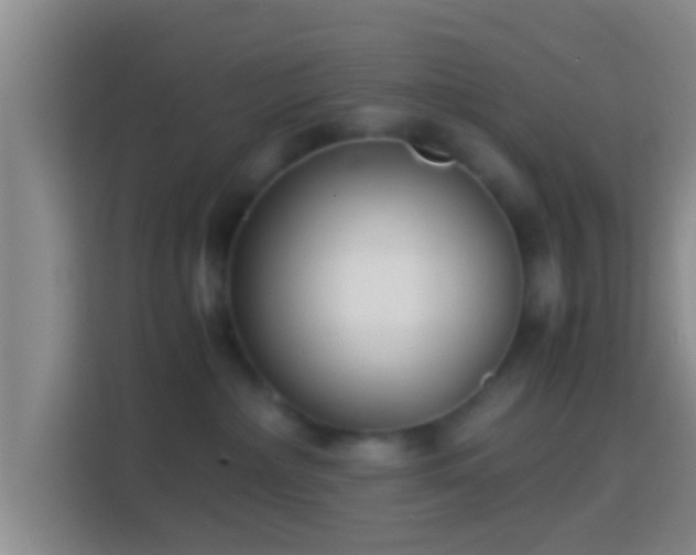 X0000114410236200910231138