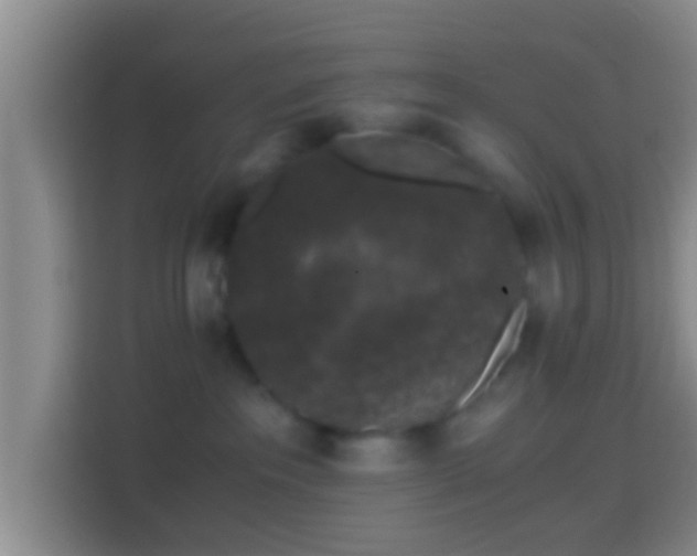 X0000114410237200910231138