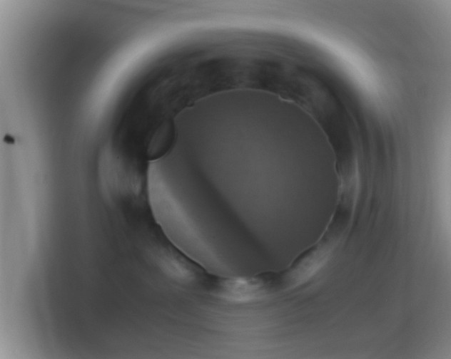 X0000114410239200910231138