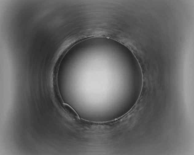 X0000114410242200910231138