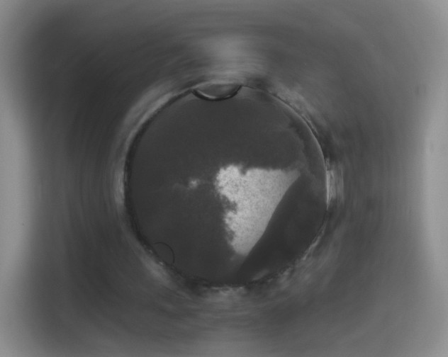 X0000114410243200910231138