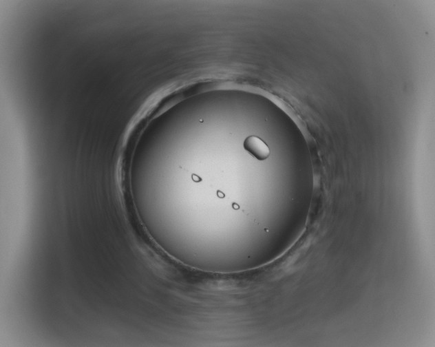 X0000114410244200910231138