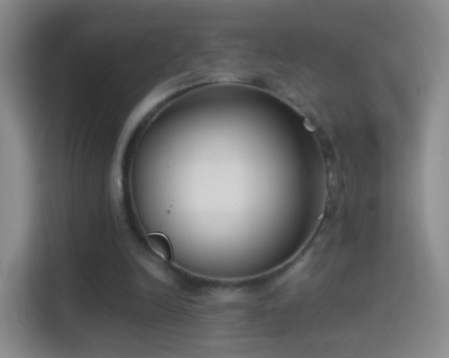 X0000114410246200910231138