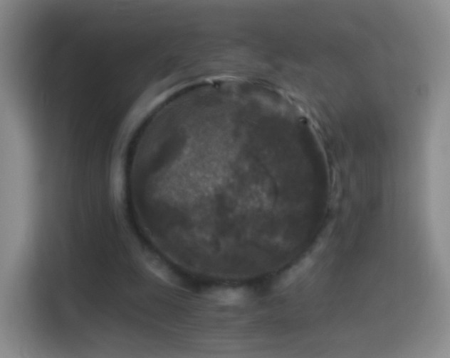 X0000114410247200910231138
