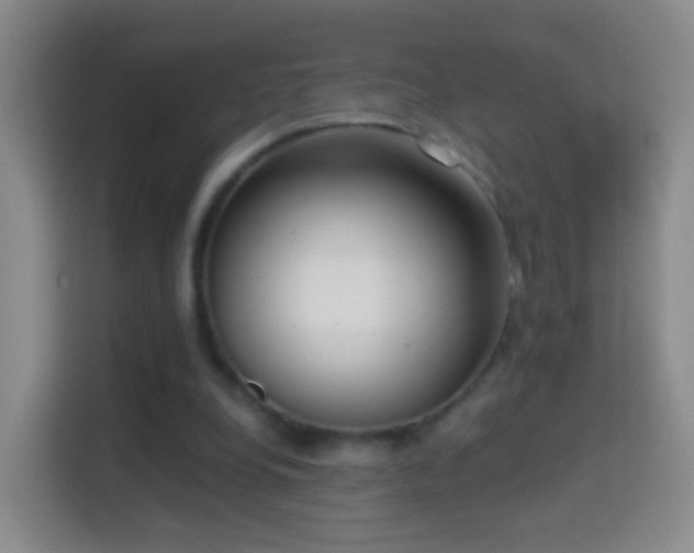 X0000114410248200910231138