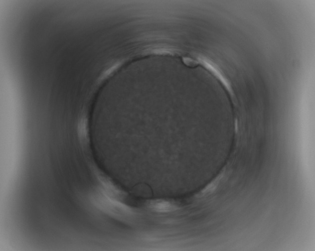 X0000114410249200910231138