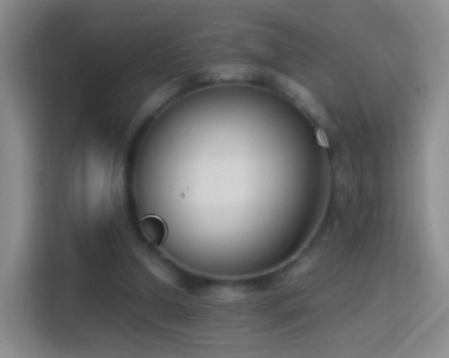 X0000114410250200910231138